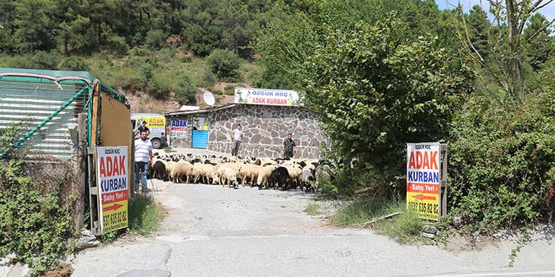 Sanayi Hurdacı